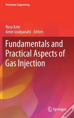 Capa do artigo Fundamentals And Practical Aspects Of Gas Injection