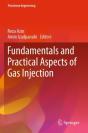 Fundamentals And Practical Aspects Of Gas Injection - Preview