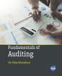 Fundamentals Of Auditing - Preview