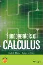 Fundamentals Of Calculus - Preview