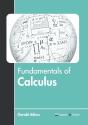 Fundamentals Of Calculus - Preview