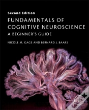 Capa do artigo Fundamentals Of Cognitive Neuroscience
