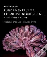 Fundamentals Of Cognitive Neuroscience