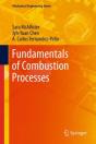 Fundamentals Of Combustion Processes - Preview