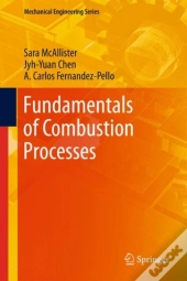 Fundamentals Of Combustion Processes