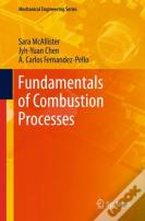 Fundamentals Of Combustion Processes