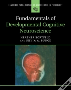 Capa do artigo Fundamentals Of Developmental Cognitive Neuroscience