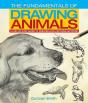 Fundamentals Of Drawing Animals - Preview