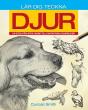 Fundamentals Of Drawing Animals - Preview