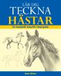 Fundamentals Of Drawing Horses - Preview