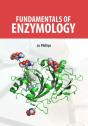 Fundamentals Of Enzymology - Preview