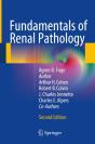 Fundamentals Of Renal Pathology - Preview