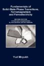 Fundamentals Of Solid-State Phase Transi - Preview