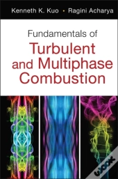 Fundamentals Of Turbulent And Multi-Phase Combustion