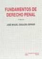 Fundamentos De Derecho Penal - Preview