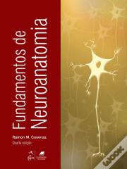 Fundamentos de Neuroanatomia