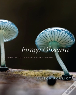 Capa do artigo Funga Obscura