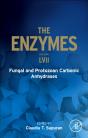 Fungal And Protozoan Carbonic Anhydrases - Preview