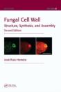 Fungal Cell Wall - Preview