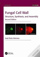 Fungal Cell Wall