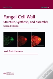 Fungal Cell Wall