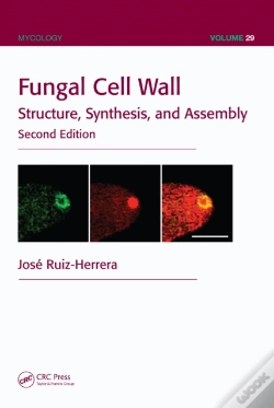 Capa do artigo Fungal Cell Wall