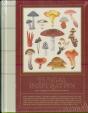 Fungal Inspiration - Preview