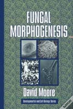 Capa do artigo Fungal Morphogenesis