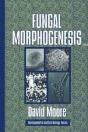 Fungal Morphogenesis - Preview