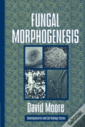 Fungal Morphogenesis
