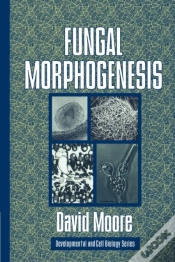 Capa do artigo Fungal Morphogenesis