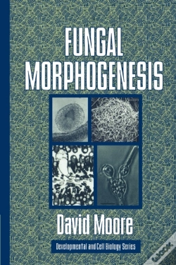 Capa do artigo Fungal Morphogenesis