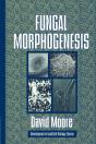 Fungal Morphogenesis - Preview