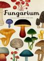 Fungarium - Preview