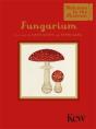 Fungarium (Mini Gift Edition) - Preview