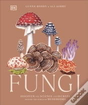 Capa do artigo Fungi