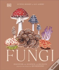 Capa do artigo Fungi