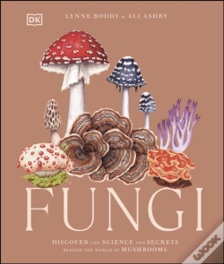 Capa do artigo Fungi