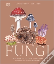 Capa do artigo Fungi