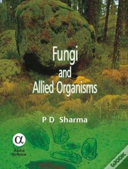 Capa do artigo Fungi And Allied Organisms