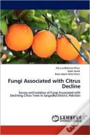 Fungi Associated With Citrus Decline