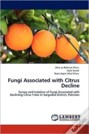 Capa do artigo Fungi Associated With Citrus Decline