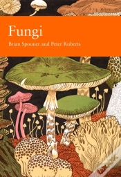 Capa do artigo Fungi