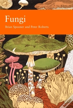 Capa do artigo Fungi
