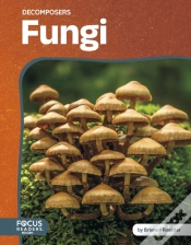 Capa do artigo Fungi