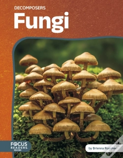 Capa do artigo Fungi