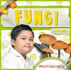 Capa do artigo Fungi