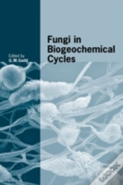 Capa do artigo Fungi In Biogeochemical Cycles