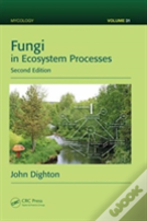 Fungi In Ecosystem Processes