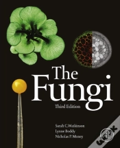 Capa do artigo Fungi